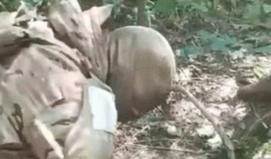 Vaizdo įrašuose internete – brutalus Ukrainos karių nužudymas