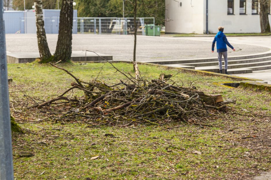 Uraganinis vėjas Kauno apskrityje plėšė stogus, vertė medžius: padaryta didelė žala