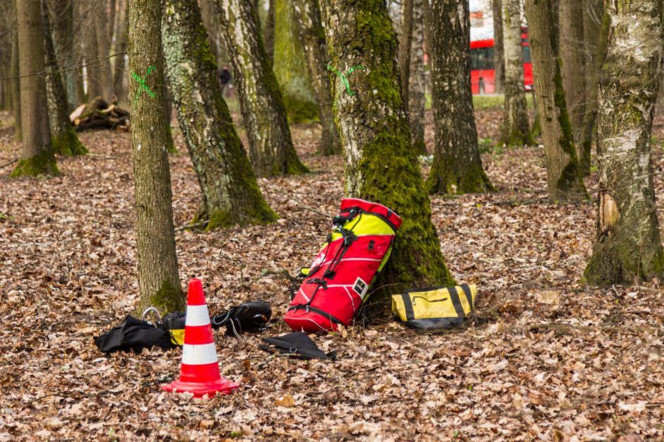 Uraganinis vėjas Kauno apskrityje plėšė stogus, vertė medžius: padaryta didelė žala