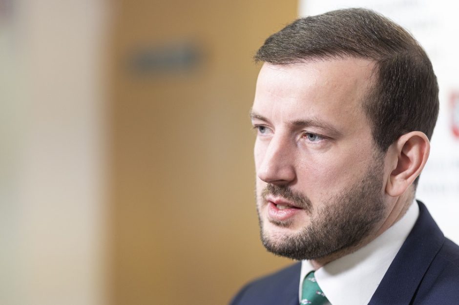 V. Sinkevičius: Lietuva daugiausia namų darbų yra atlikusi energetikoje