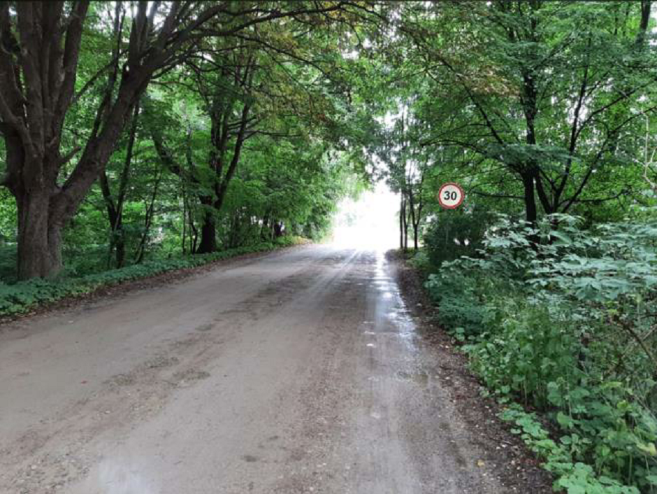 „Švyturio“ sodų bendrijos savininkams – gera žinia: prasidės žvyrkelių asfaltavimo darbai