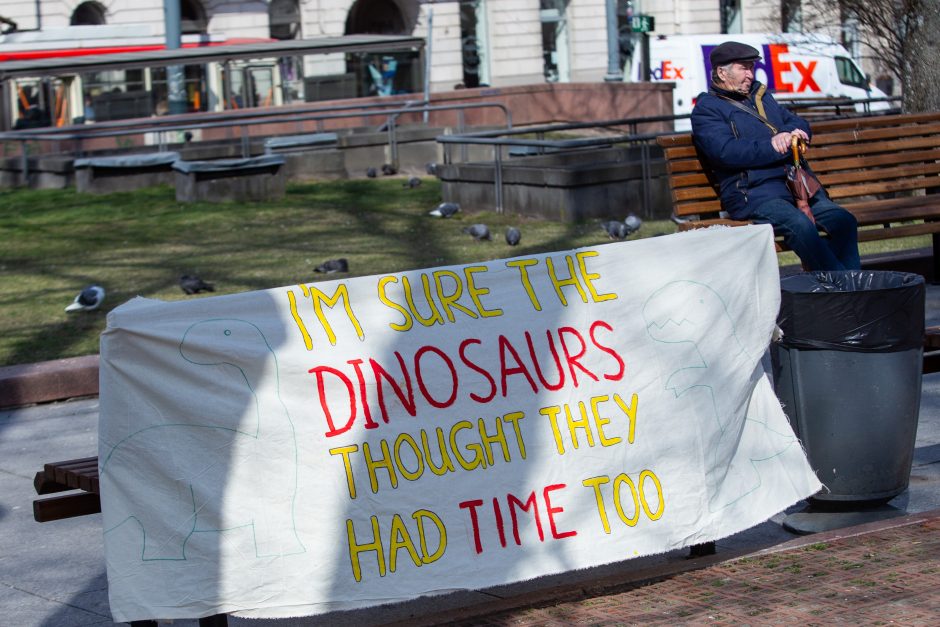 Per šimtą žmonių Vilniuje prisijungė prie tarptautinio protesto prieš klimato kaitą