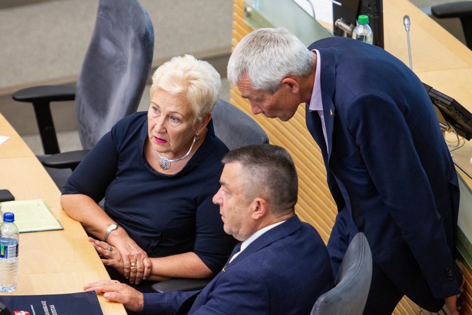 Seimas pareiškė pasitikėjimą premjeru S. Skverneliu