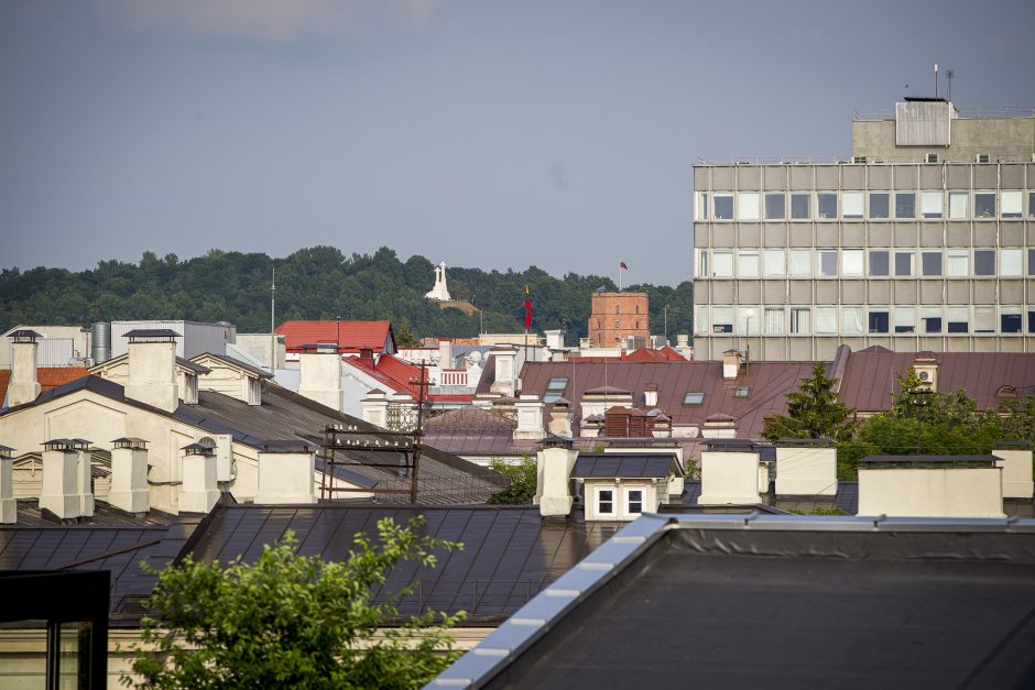 Konkurencijos taryba: išimtys dėl savivaldybių NT valdymo gali prieštarauti Konstitucijai