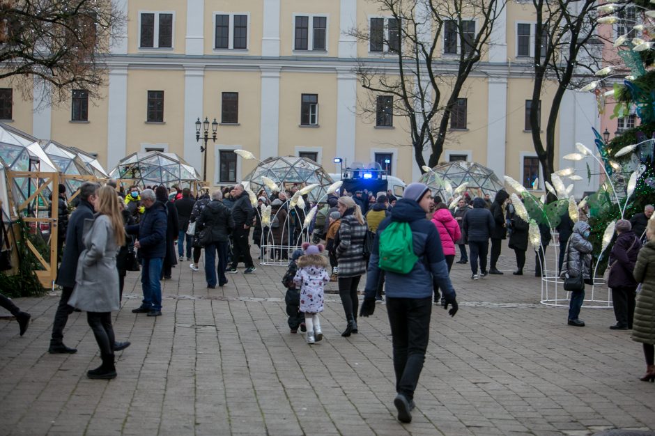 Prie Kauno eglutės – ir su vaikais, ir su draugais (vaizdo įrašas)