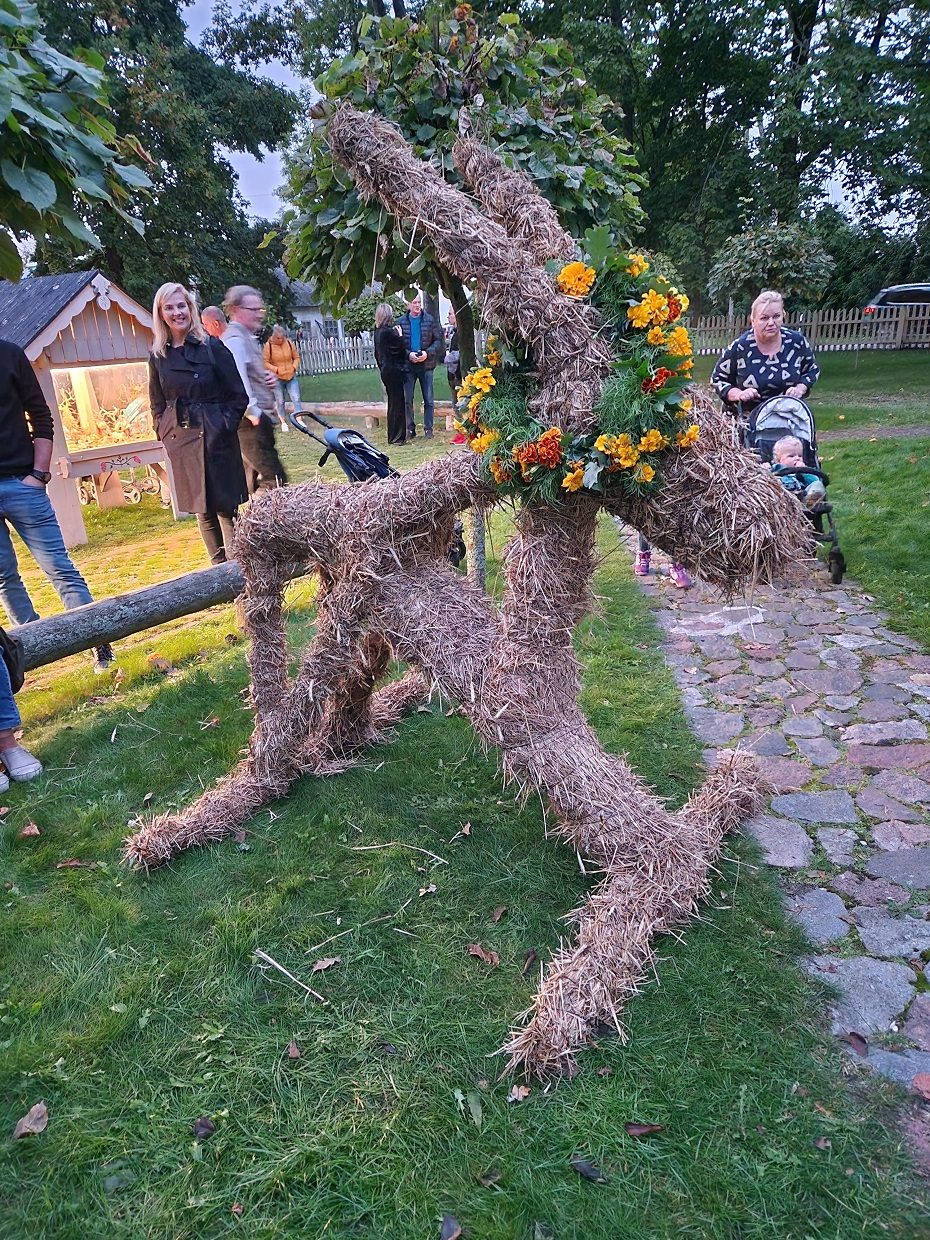 Lygė Drevernoje – ypatinga tradicija