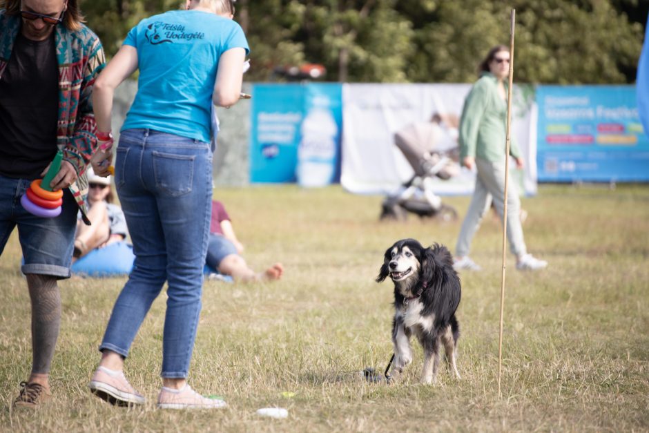 Festivalis „Bliuzo naktys“: saulė, muzika ir laisvė