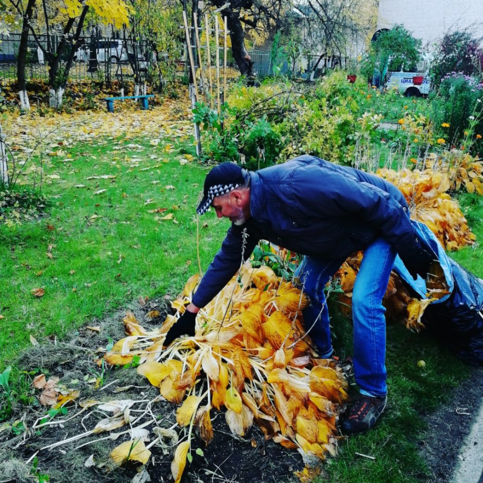 Padėkime gėlynams laukti žiemos