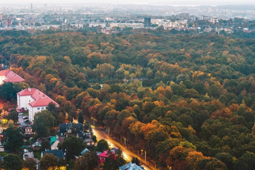 Rudens nuotykiai Kaune: rekomendacijos vaizdingiems pasivaikščiojimams 