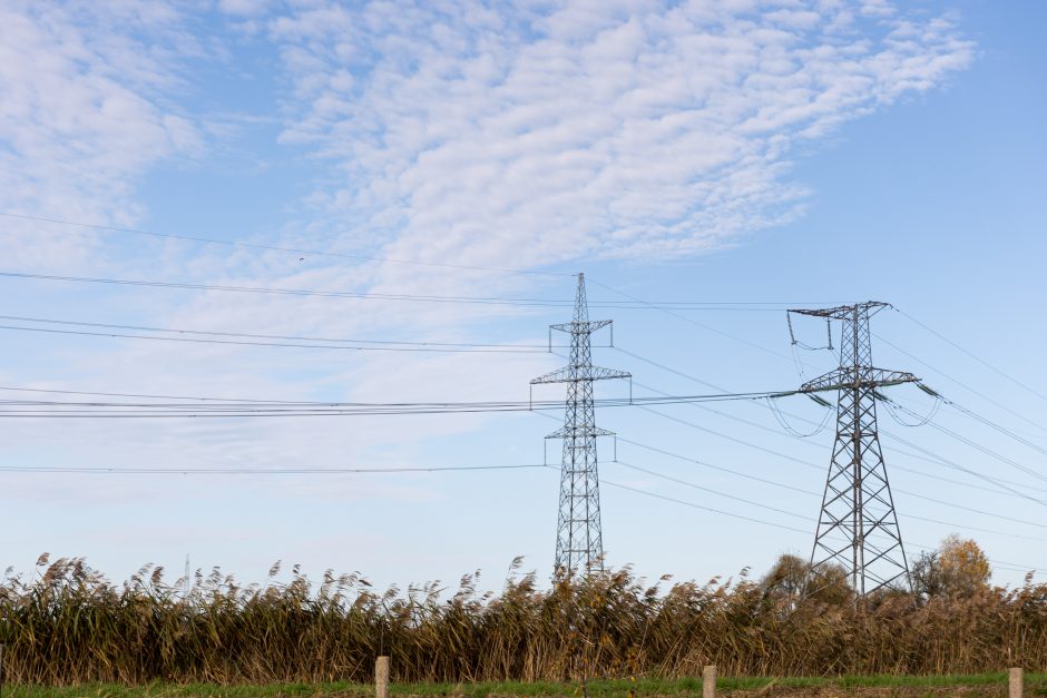 Garantinis elektros tiekimas kovą brangsta 7 proc. 