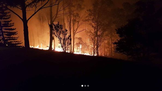 Nuo Australijos krūmynų gaisrų nukentėjo ir aktorius R. Crowe