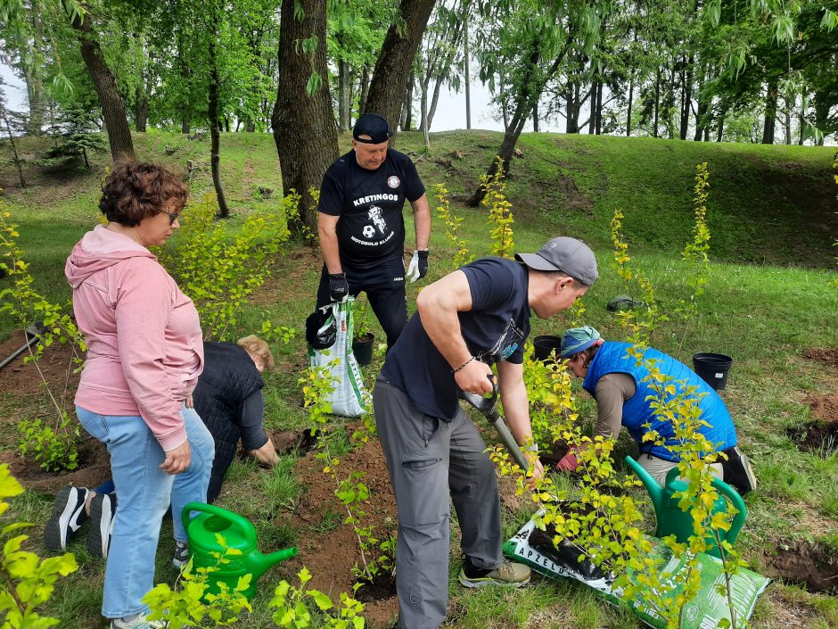 Kretingoje pasodino 770 naujų medžių ir žydinčių krūmų