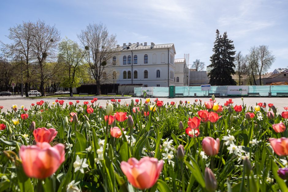 Atgimimo laukia dar viena Kauno vieta