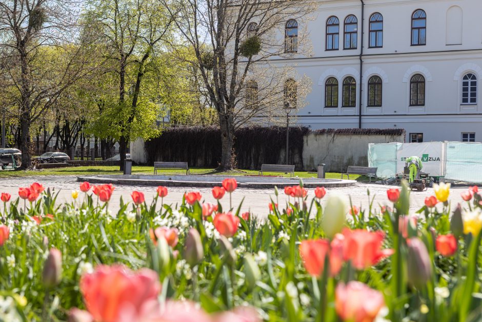 Atgimimo laukia dar viena Kauno vieta