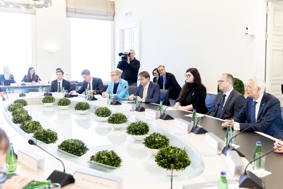 I. Šimonytė ragina neturėti tabu dėl ginkluotės paramos Ukrainai