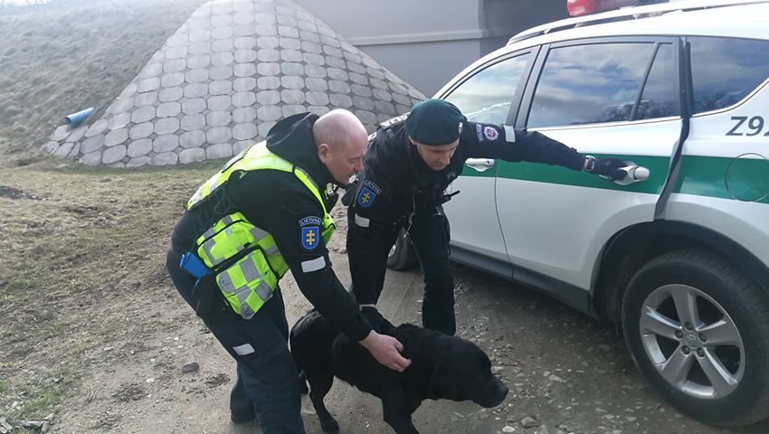 Pagirtina: policijos pareigūnai mokymų metu išgelbėjo nusilpusį šunį