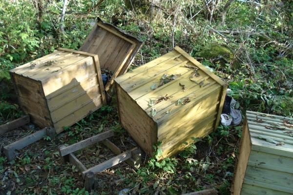 Vandalai siautėjo Radviliškio rajone: išniekino bičių avilius