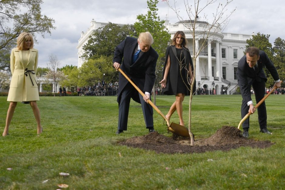 E. Macronas išsiųs D. Trumpui naują ąžuoliuką, nunykus jų pasodintam medeliui