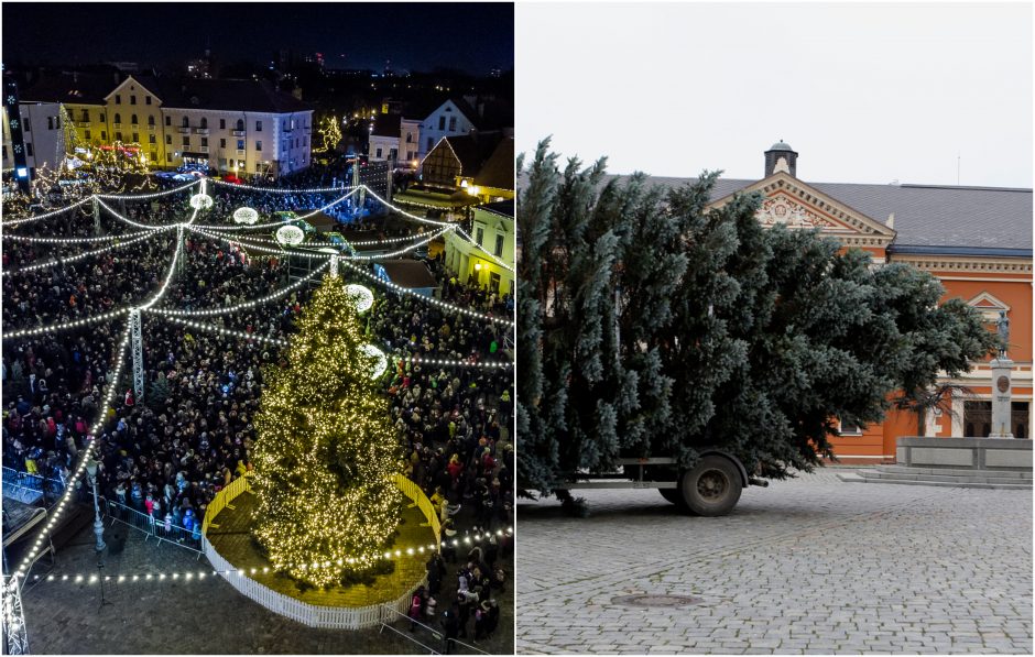 Klaipėdoje ieškoma Kalėdų eglės: tikros, žalios, su istorija