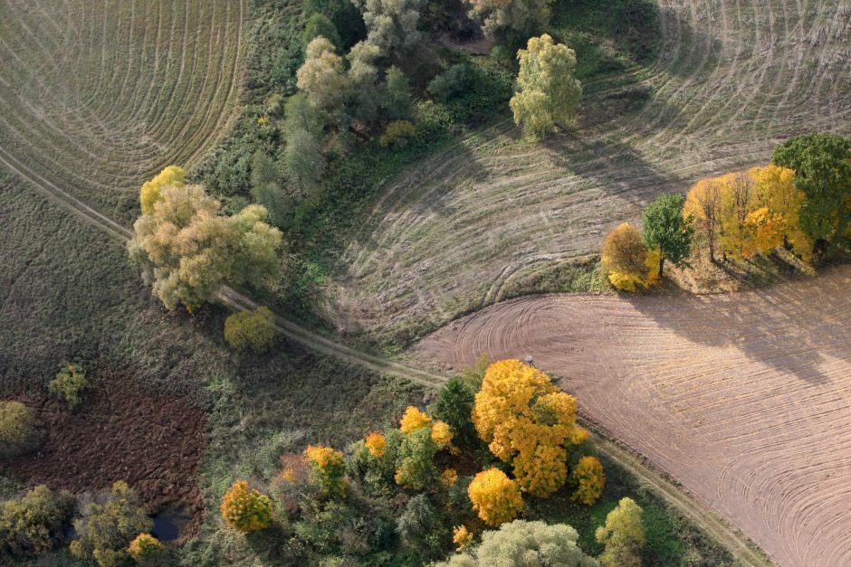 Perspėja: žemės mokesčiui sumokėti liko dvi dienos, pusė prievolininkų dar skolingi