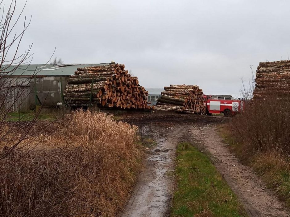 Vilniaus rajone gausios ugniagesių pajėgos gesino gaisrą medžio apdirbimo ceche