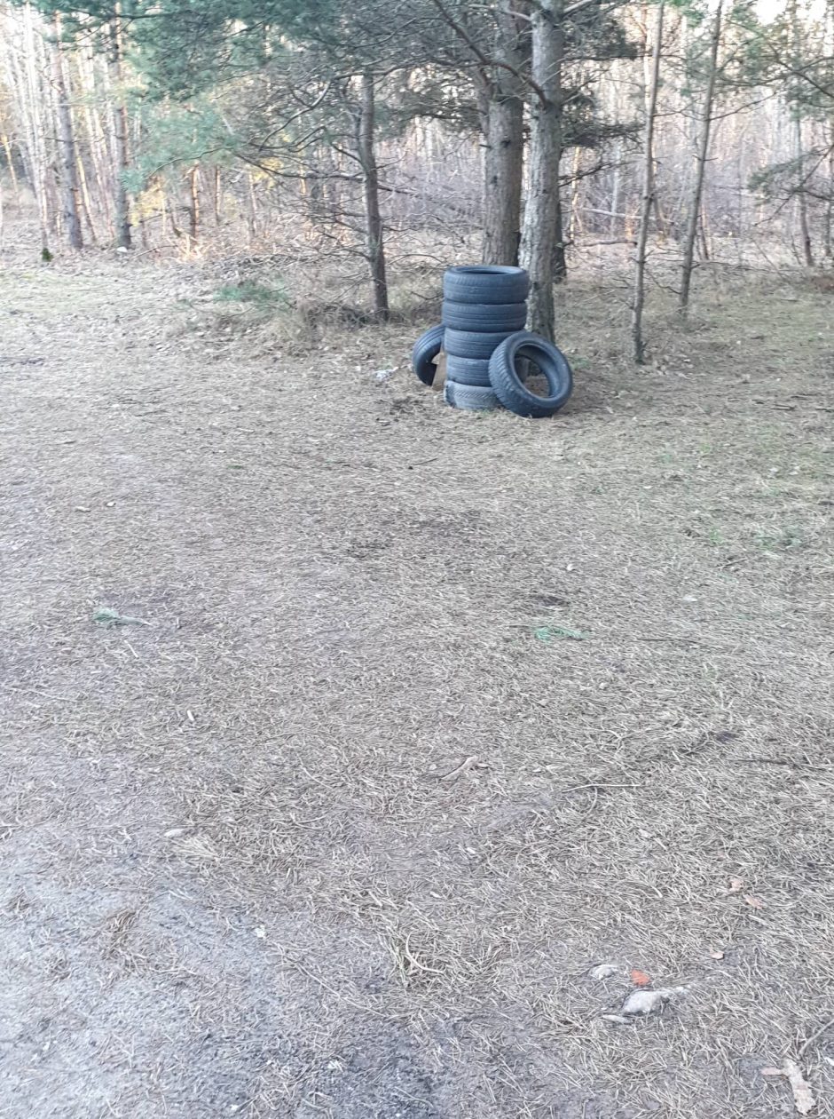 Kairių miške – sąvartynas: teršėjai krauna padangų bokštus, palieka šiukšles