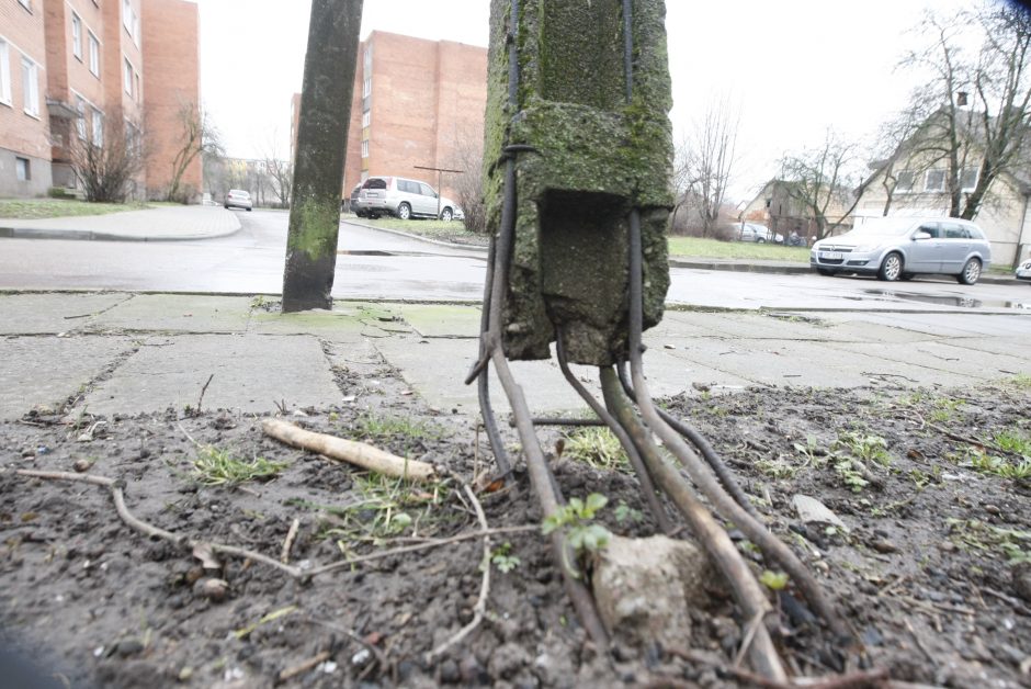 Klaipėdos gyventojai kelininkų nematė dešimtmečius: prašo tvarkyti Ąžuolų gatvę