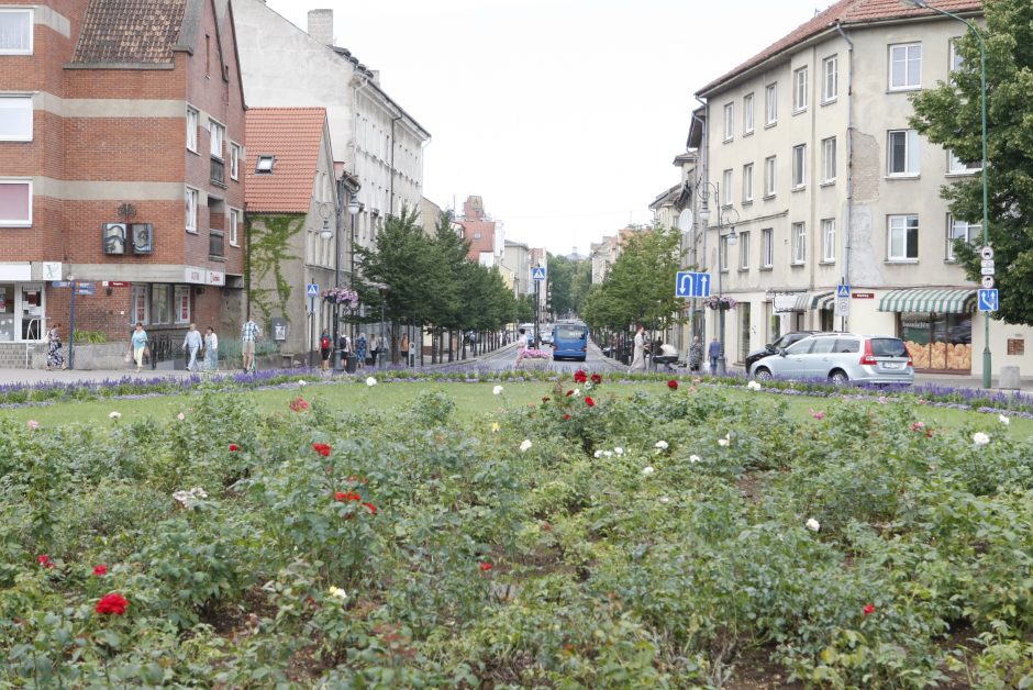 Rožyne Klaipėdoje – mažiau žiedų