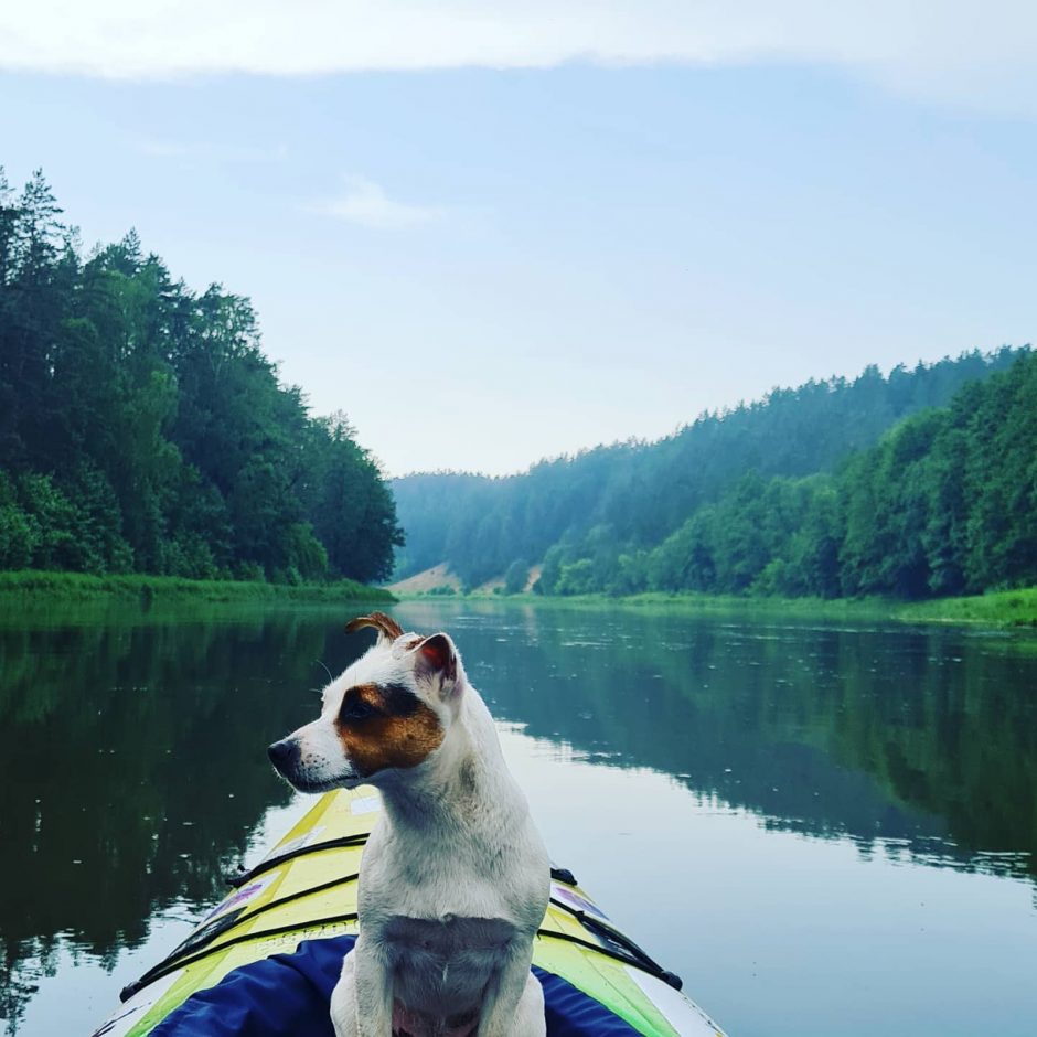 Klaipėdiečio yriai – dėl svajonių