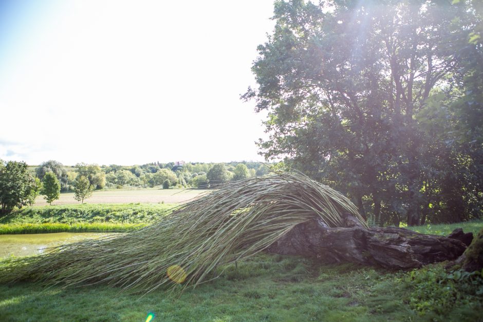 Festivalyje – istorijos ir žmonių gyvenimų įkvėptas žemės menas