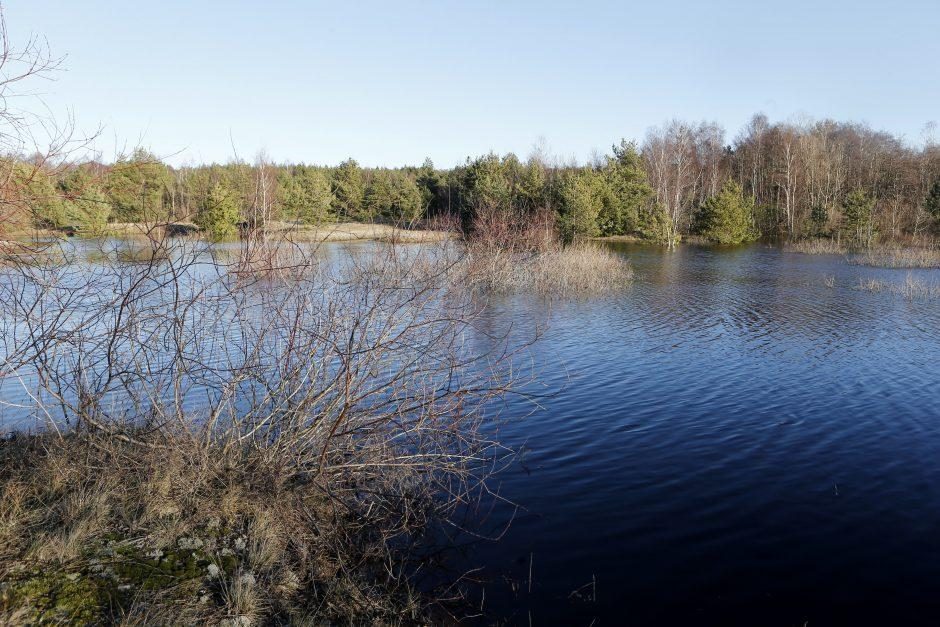 Nelaimė Prienų rajone: ugniagesiai gelbėjo į tvenkinį įvažiavusią vairuotoją