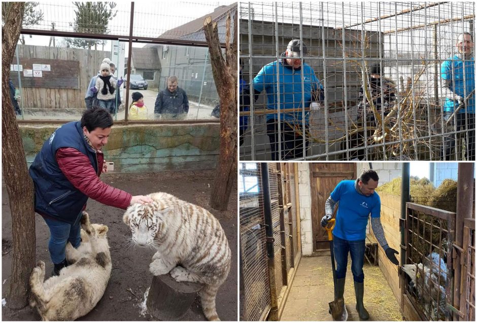 Savanoriai darbavosi Klaipėdos zoologijos sode