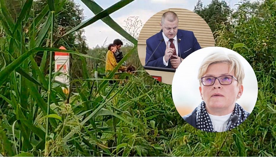 Premjerė apie D. Gaižausko interpretacijas dėl migrantų krizės: mano sveikas protelis neišneša