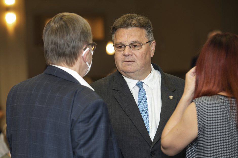 L. Linkevičius ramina konservatorius: dėl rinkimų apygardos kreipiausi į VRK ir VTEK