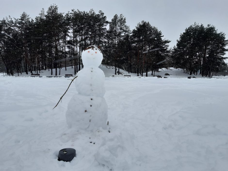 Pasigrožėkite: Draugystės parką puošia ir besmegeniai, ir sniego tvirtovės