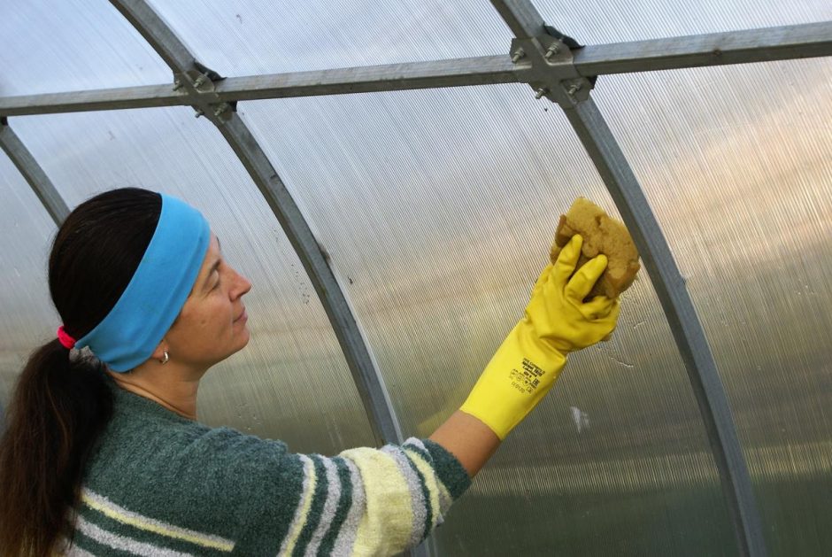 Ruošiame šiltnamį sutikti pomidorų ir agurkų daigus