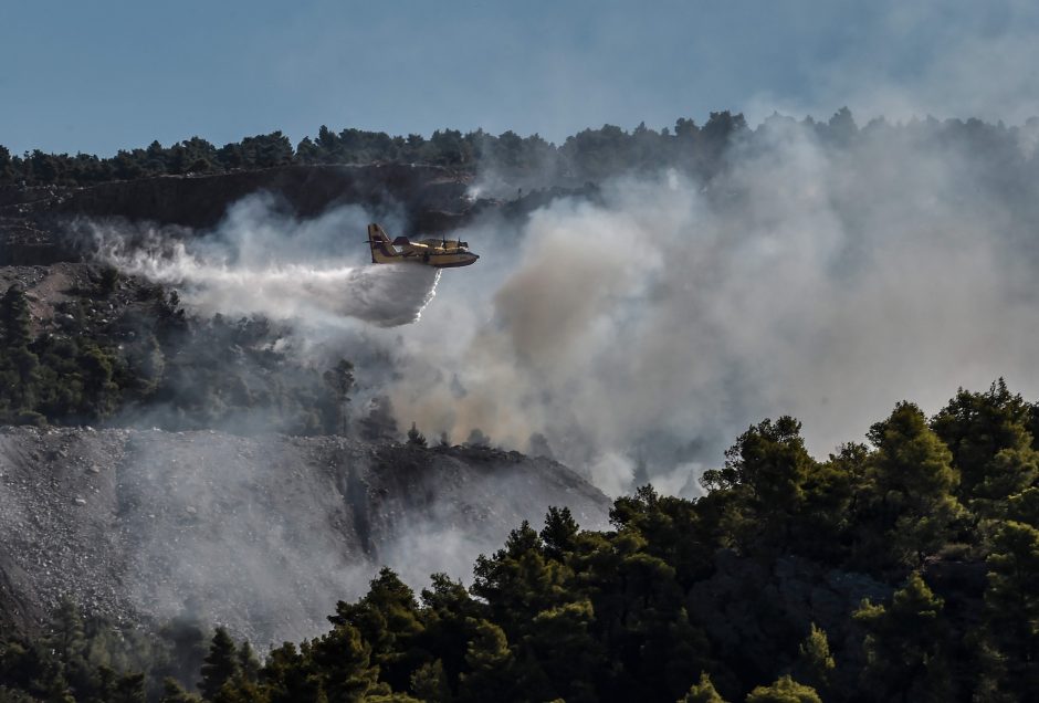 Graikijos salą talžo miško gaisras: siunčiamas ugniagesių pastiprinimas