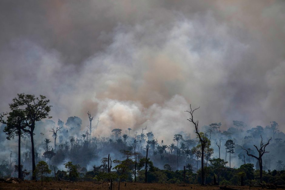 Brazilijos Amazonės miškuose – daugiausia gaisrų per 13 metų