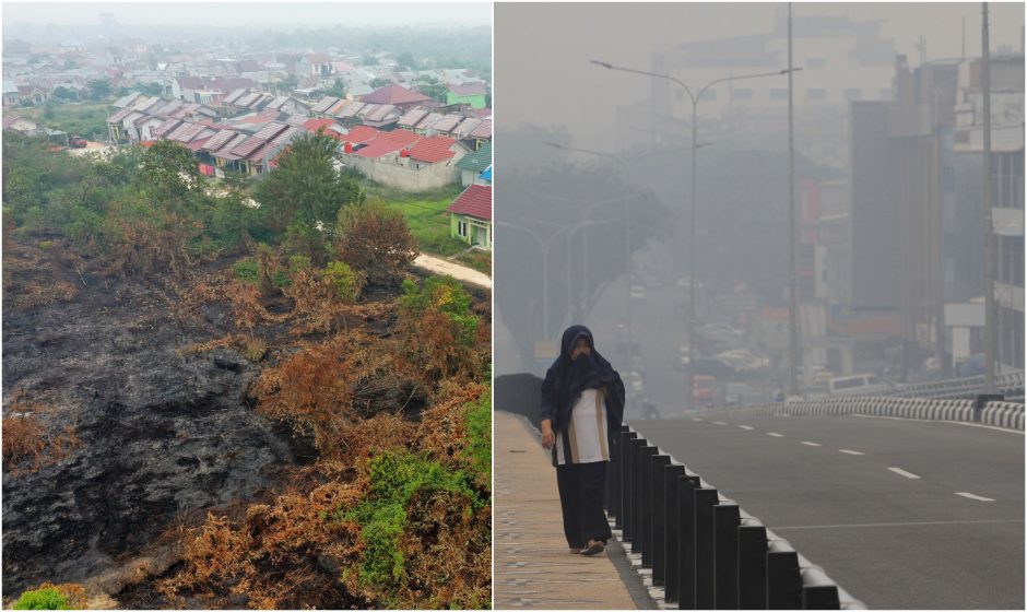 Indoneziją dusina miškų gaisrai: gyventojai meldžia lietaus