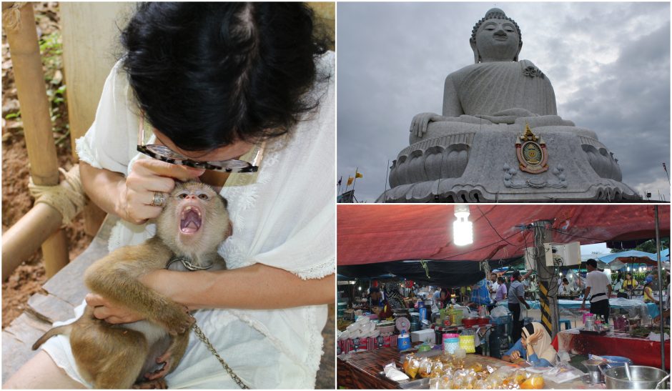 Žalio turisto užrašai: Tailandas – tūkstančio šypsenų šalis