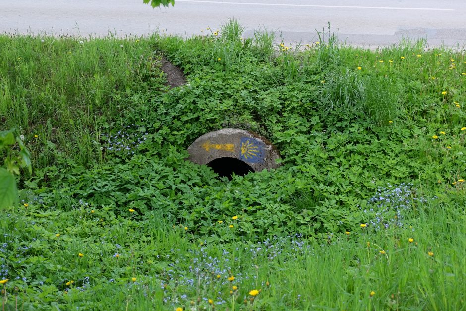 Savaitgalio iššūkis: pėstute „Camino Lituano“ keliu