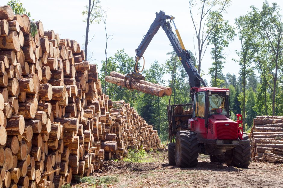 Privačių miškų savininkai po Seimo sprendimo kreipiasi į Europos Komisiją