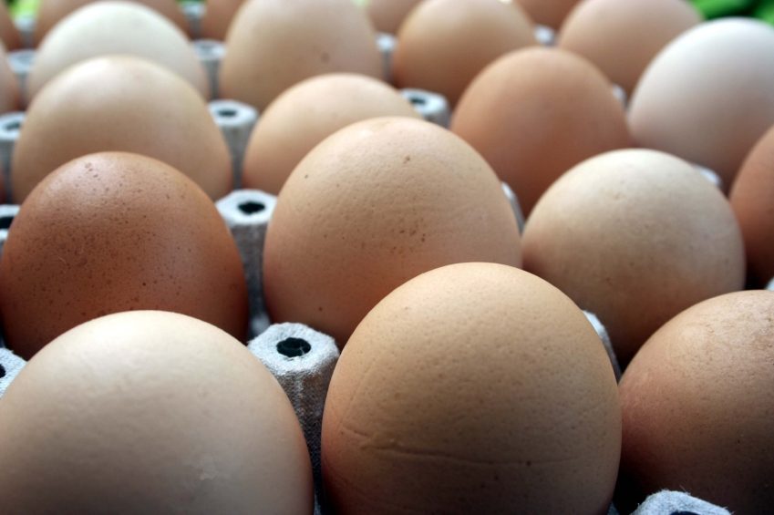 Lietuvos įmonės kiaušinių produktus galės eksportuoti ir į Naująją Zelandiją
