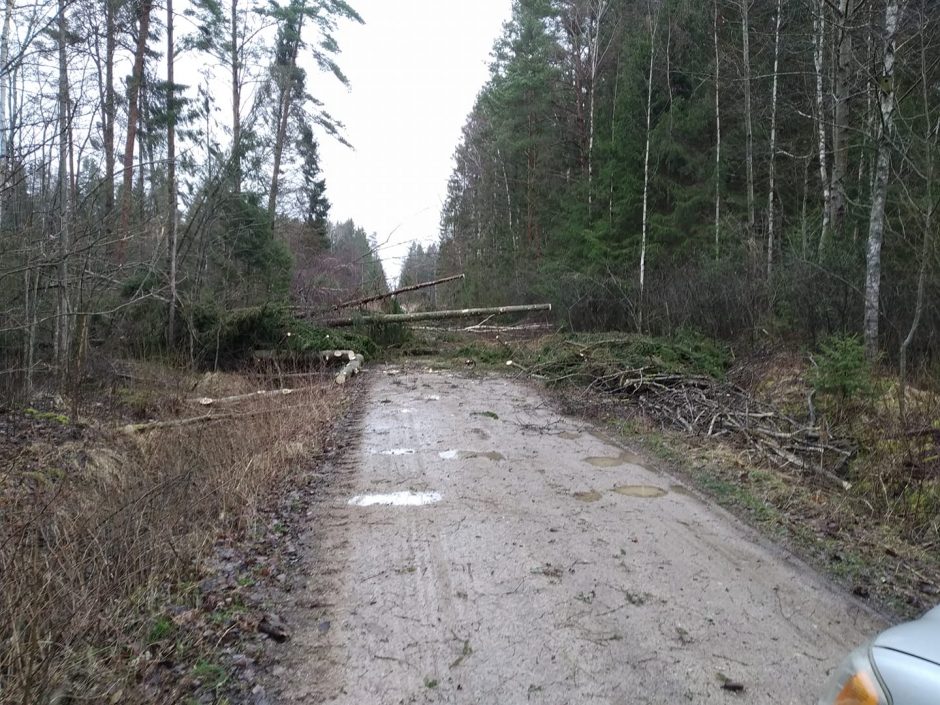 Miškininkai skelbia sutvarkę kovą siautusios audros „Laura“ padarinius