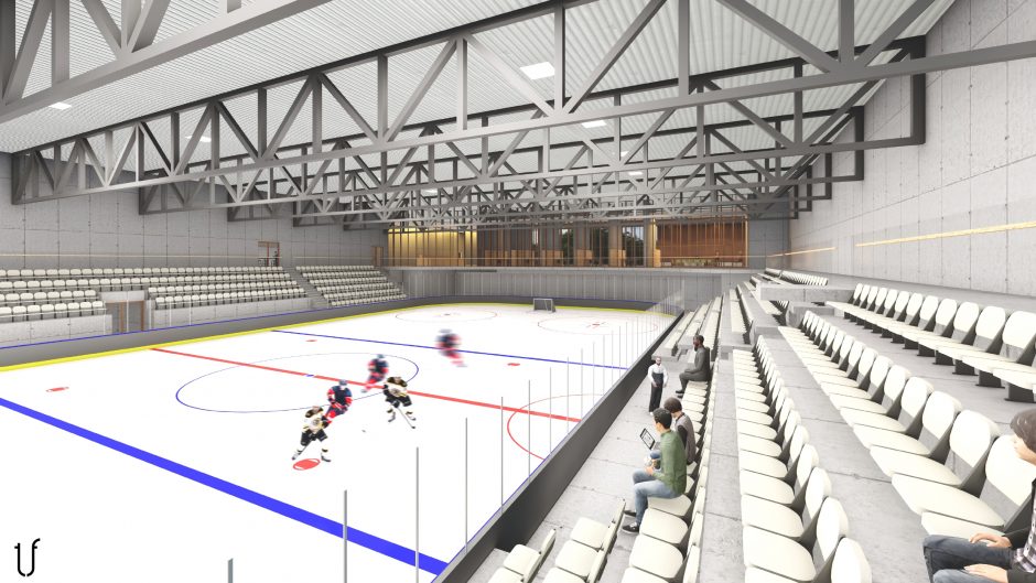 Aiškėja, kaip gali atrodyti nauja Vilniaus ledo arena
