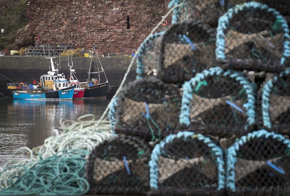 Britų delikatesus naikina „Brexit“ bakterijos