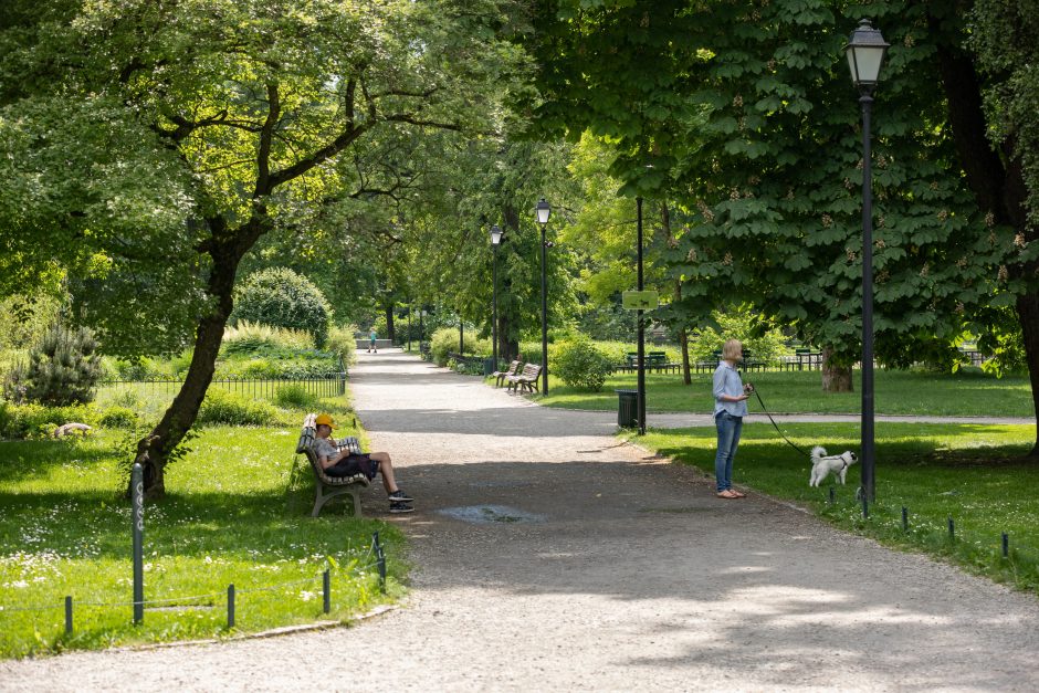 Prieš 10 metų pradėtas Bernardinų sodo rekonstravimo projektas ir šiandien – tikra poilsio oazė