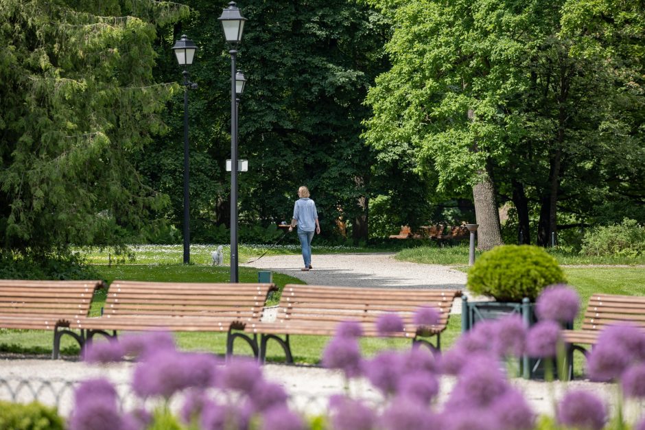 Prieš 10 metų pradėtas Bernardinų sodo rekonstravimo projektas ir šiandien – tikra poilsio oazė