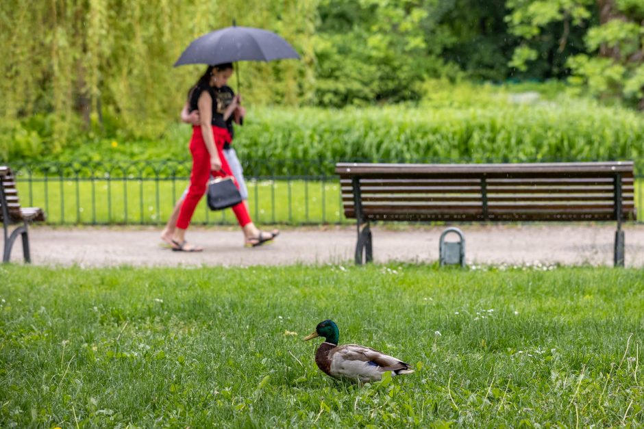 Prieš 10 metų pradėtas Bernardinų sodo rekonstravimo projektas ir šiandien – tikra poilsio oazė