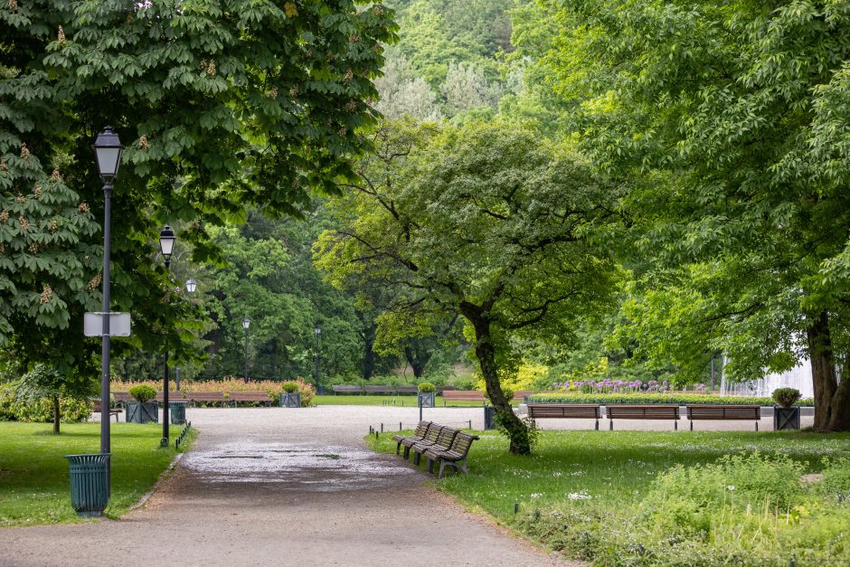 Prieš 10 metų pradėtas Bernardinų sodo rekonstravimo projektas ir šiandien – tikra poilsio oazė